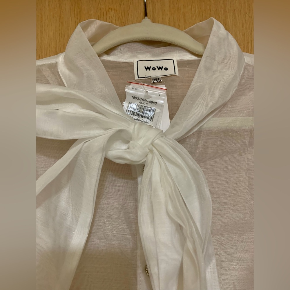 Women's Off White Sheer Blouse with Bow